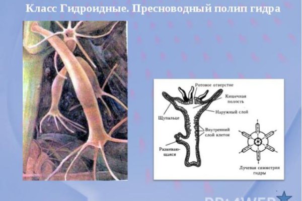 Кракен сайт юнион