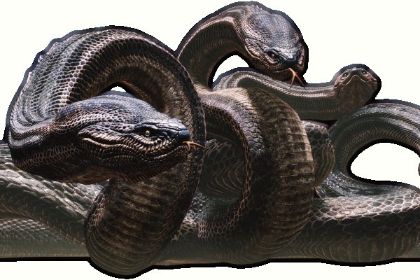 Kraken 25 at