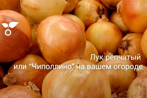 Кракен купить наркотики