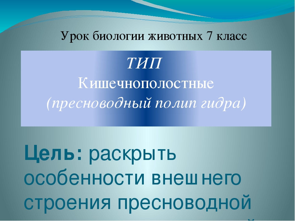Kraken сайт kraken torion